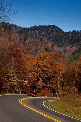 a winding road in TN